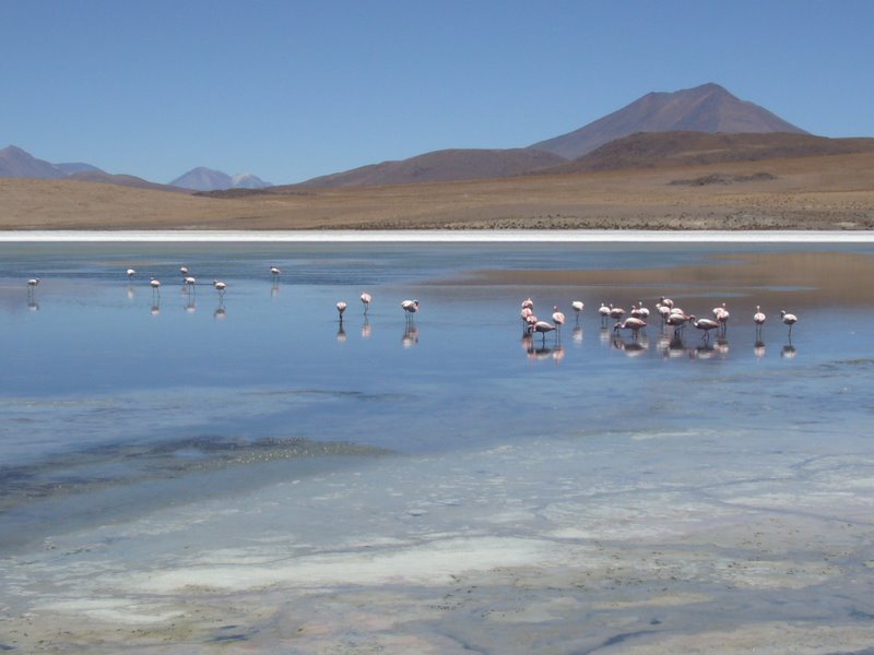 Laguna Blanca